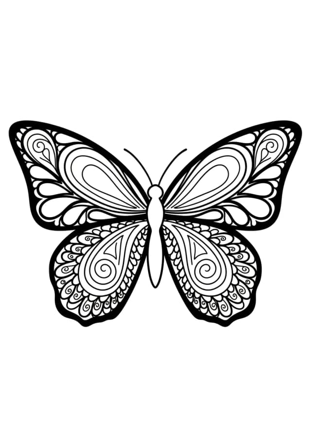 Intricate Butterfly Paisley Pattern Coloring Page