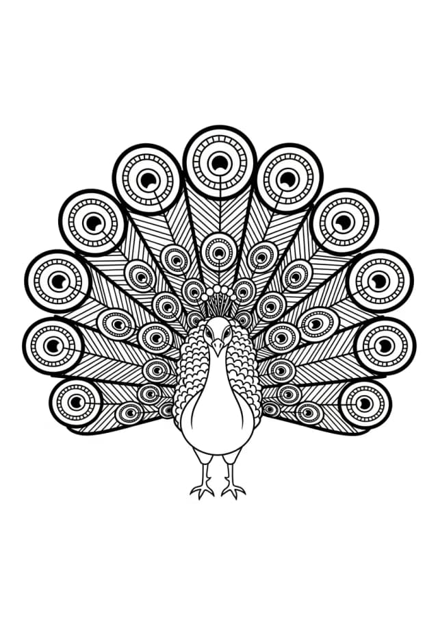 Ornate Peacock Feather Fan Coloring Page
